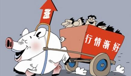 集团场生猪销量和体重均下降，猪价止跌