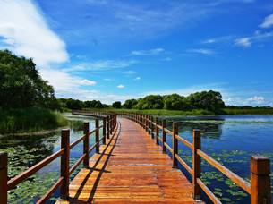 黑龙江打造中医药健康旅游“龙江名片”