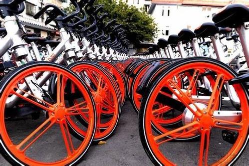 摩拜ofo哈罗免押金不带北京玩 大数据演算结果解开玄机