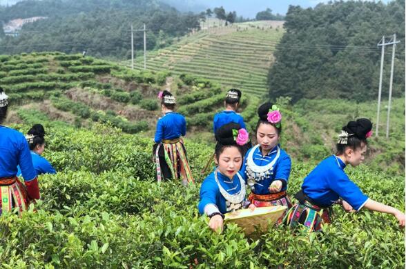 云南省红河州以绿色金融推动城市经济转型升级