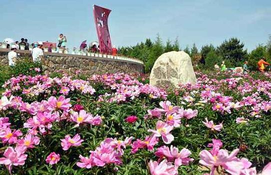 内蒙古呼和浩特：今年将举办100余项500余场文旅活动