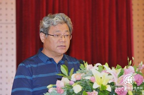 海峡两岸农业专家委员会主任、大农国际控股集团董事局主席孙以川致辞