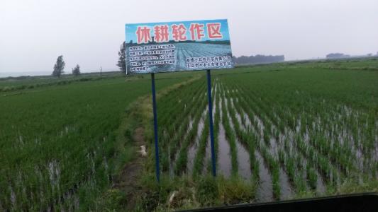 农业农村部督导15个省份轮作休耕