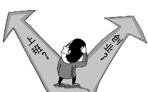 白领辞高薪回乡养鸡亏损  创业失败引社会各方鼓励