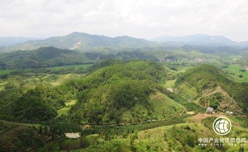 这个夏天，鹰卫浴让他们的脸上绽放更多笑容