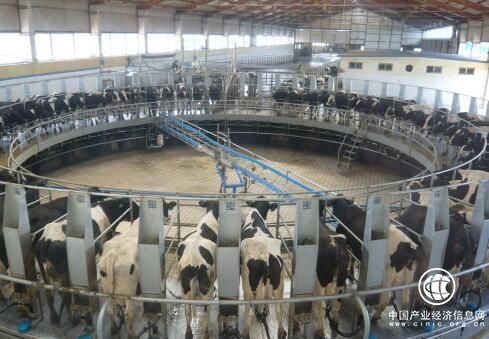 乳业半年报 消费疲软 整体业绩不及预期  价减量增 市场有望逐步恢复