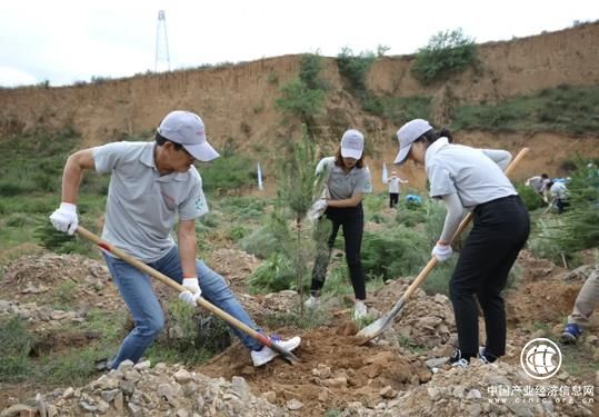 绿色出行｜持之以恒必有回响：看丰田十八年植树防沙 卓众汽车网