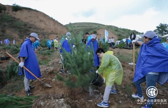 绿色出行｜持之以恒必有回响：看丰田十八年植树防沙 卓众汽车网