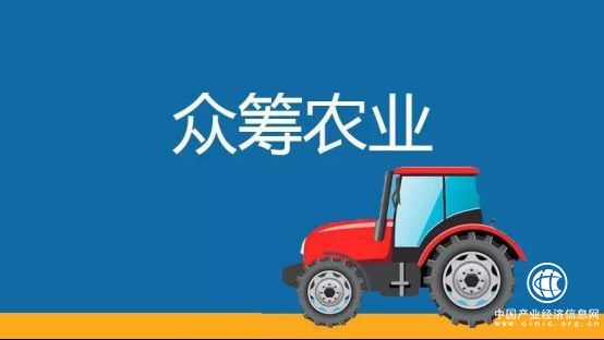 乐农之家：农业众筹是一条会赚钱的“鲇鱼” 搅活了互联网金融
