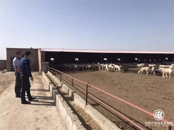 大麦理财 耕耘在希望的田野上