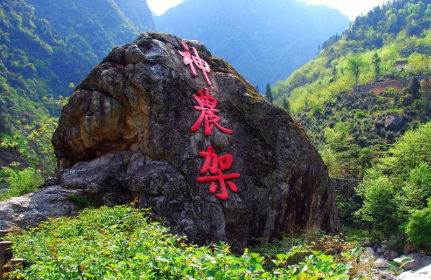 湖北神农架林区电商生态初现雏形