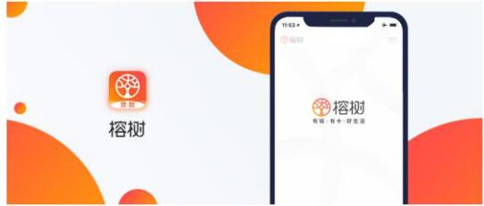 百家金融机构争抢入驻，榕树平台究竟有什么魅力？