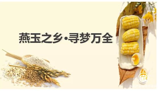 网库以立鼎之势，赋能燕麦产业发展