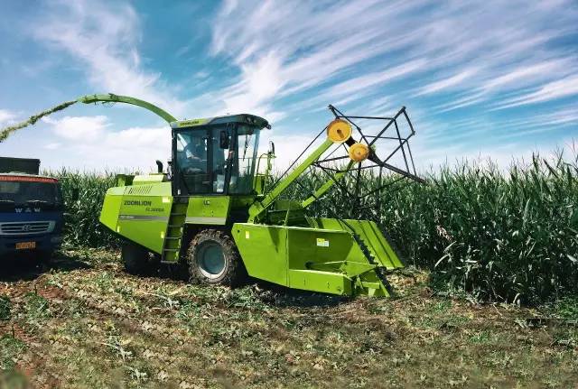 河南56个县市区实施粮改饲试点项目