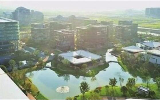 实施重点培育工程 浙江杭州