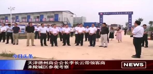 天津德州商会会长李长云带队到陵城区参观