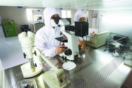 南京中旭电子：传感器行业隐形冠军炼成记