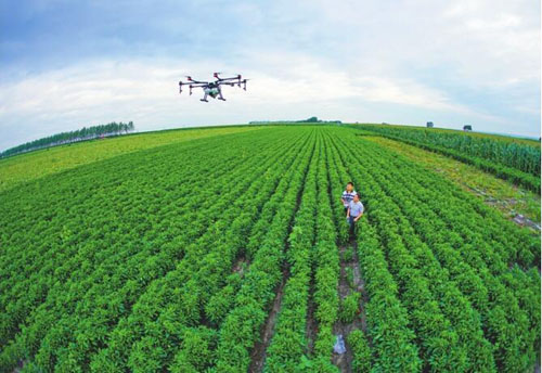 黑龙江今年农业“三减”面积将增至4500万亩