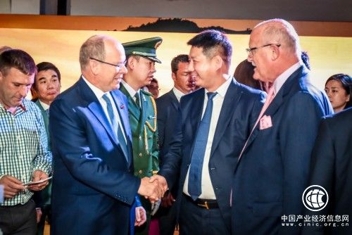 探索濒危动物现状_BRICKLIVE(砖享)动物王国环保展一北京站开幕