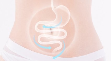 《养生堂》推荐的这款“肠道卫士”到底有多神奇