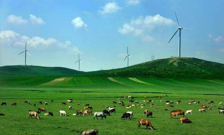 内蒙古乌海再添“国字号”城市名片