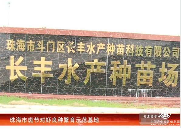 CCTV证券资讯频道《每周财经资讯》 走进长丰水产 推进健康养殖发展