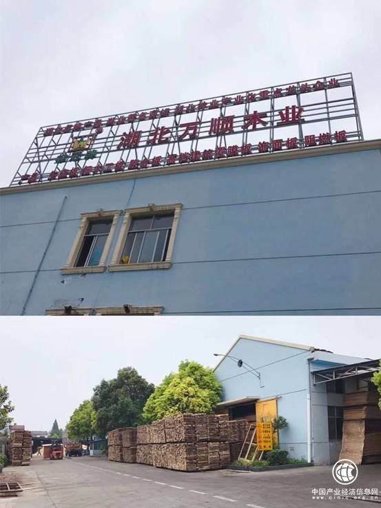 梨花女子学院院长员歆然老师走访万顺木业