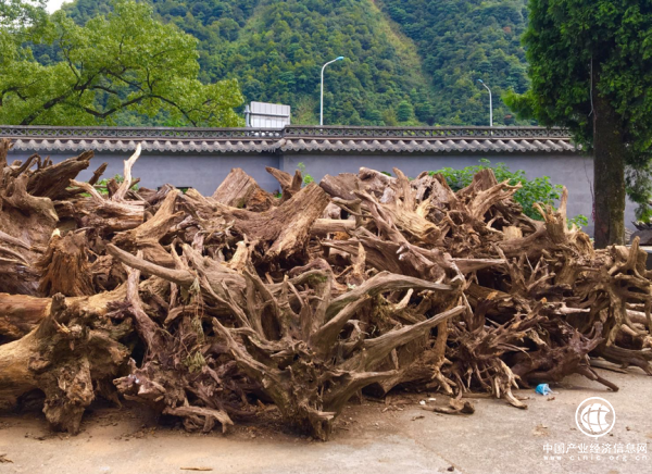 微拍堂匠人故事 | 有根雕的地方就是家，他在异乡“落叶归根”