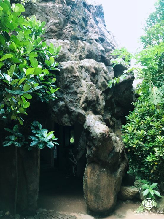 梨花女子学院院长员歆然老师考察海南椰仙山庄旅游地产项目