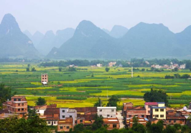 黑龙江大庆市聚力“两头两尾”产业 筑牢乡村振兴基础