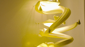 3- 橱窗图片 - gif4.gif