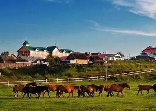 内蒙古：赤峰人在家门口实现“卖全球”“买全球”