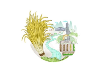 打造农产品品牌，对接广域市场