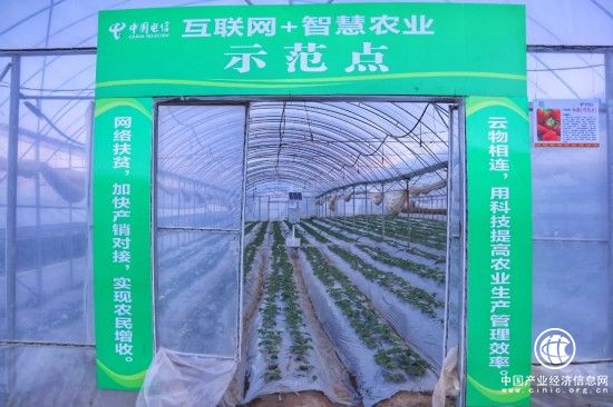 中国电信在大凉山的精准扶贫之路：助力凉山产业转型升级