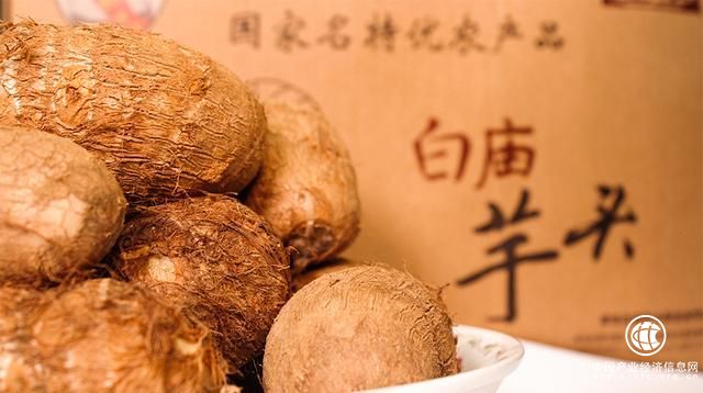 走进丨中国实干家江崇美和白庙芋头