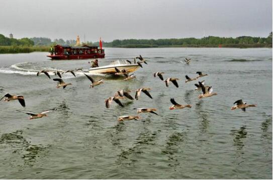 江苏盐都：金秋时节硕果多 全域旅游入佳境