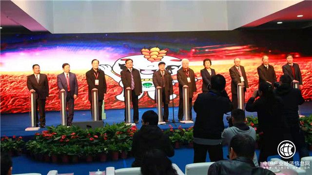 第九届中国永城面粉食品博览会暨中国小麦粉品牌集群启动仪式举行