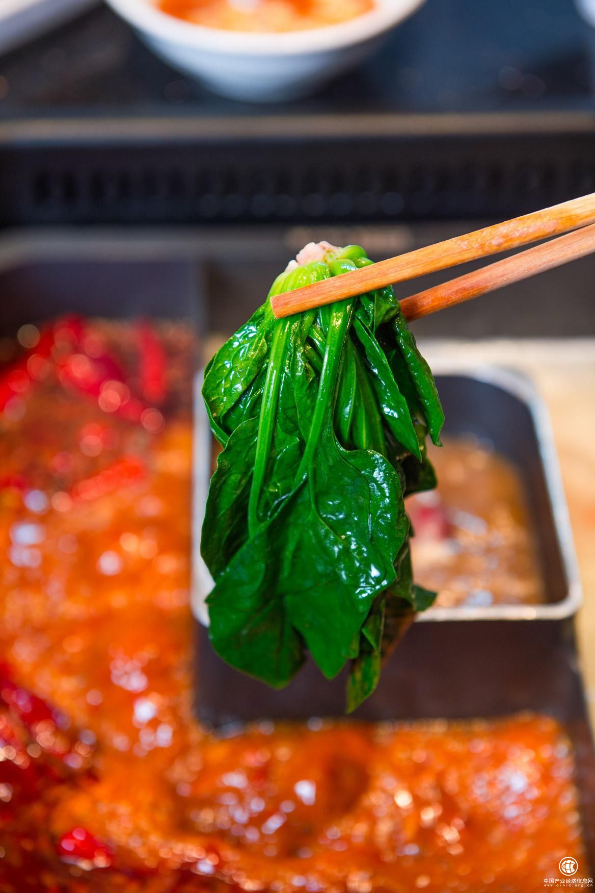 带根吃的笨菠菜，12月1日，来巴奴尝第一口鲜!