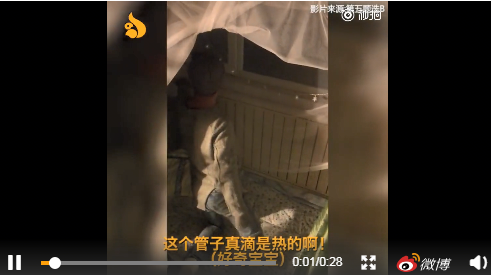 南方人第一次见暖气反应奇特，苏宁采暖放心服务成用户首选