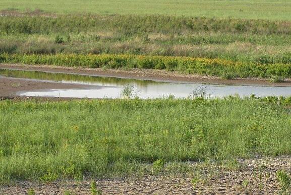 四川省明确17项修复保护黄河生态环境重点任务