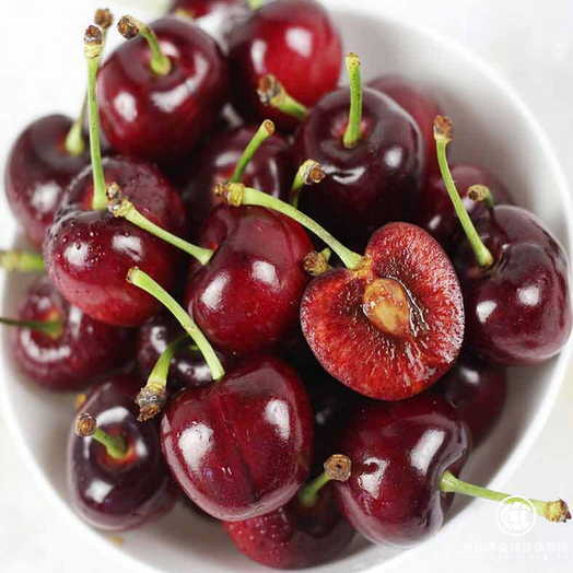 吃货注意!苏宁抢鲜上市智利车厘子！