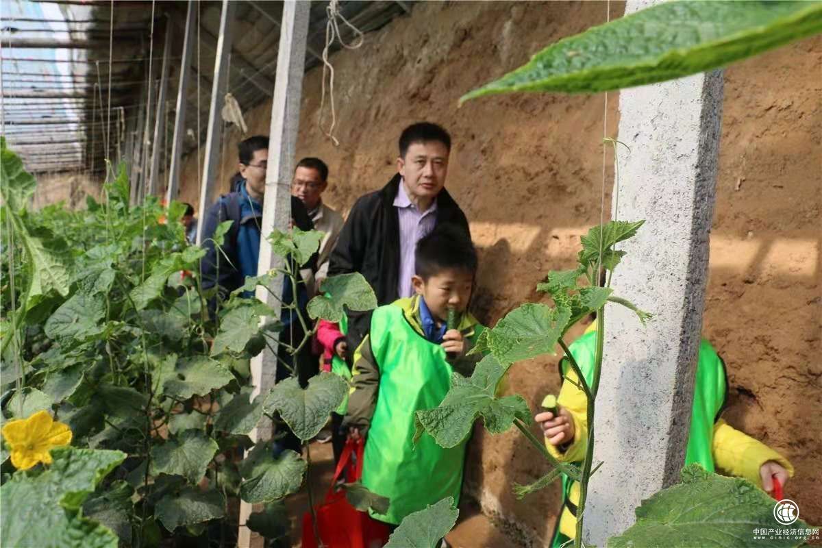 云ERP助力第七届黄瓜文化节，推动农贸市场智慧转型！