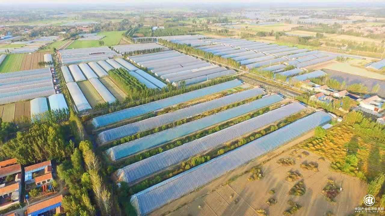 云ERP助力第七届黄瓜文化节，推动农贸市场智慧转型！