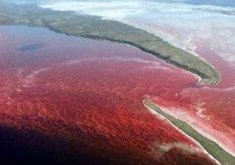 治理赤潮 中国“土”办法走出国门