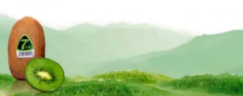 “7不够”修文猕猴桃：精准赋能，助推产业扶贫