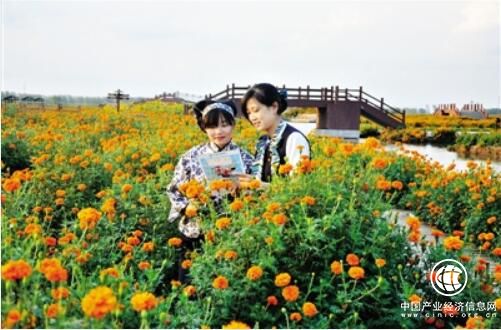 坚守本源 农业银行深耕“三农”经济