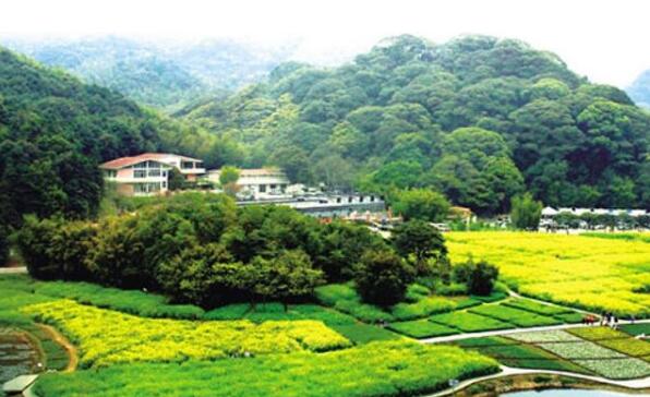 今后两年广东将新建50个森林小镇