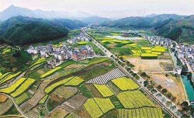 广西连续四年年均盘活存量用地逾1.5万公顷