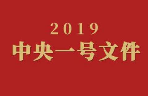 2019年中央一号文件公布 提出坚持农业农村优先发展总方针