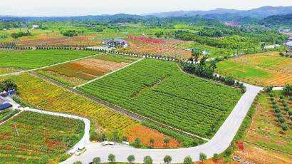 四川为凉山深贫县农业园区“加餐”